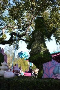The White Rabbit tea party_small