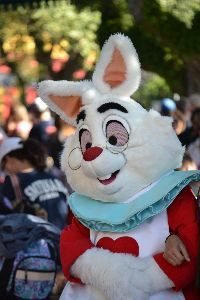 The White Rabbit_small