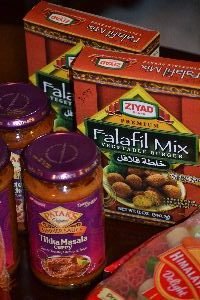 Tiki Masala and falafals_small