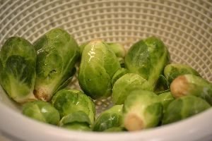 b sprouts 1_small