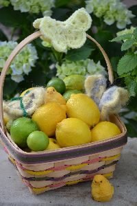 basket of lemons and limes_small