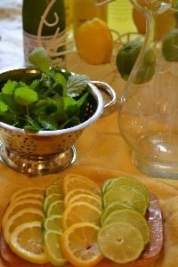lemon balm with limes and lemons_small