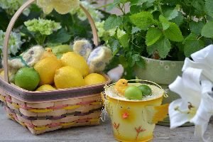 lemons limes and lemon balm_small