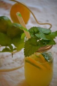 limoncello lemonade with herbs_small