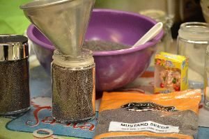 mustard seeds and funnel_small