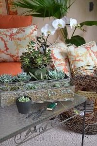 Succulent wreath beginnings_small
