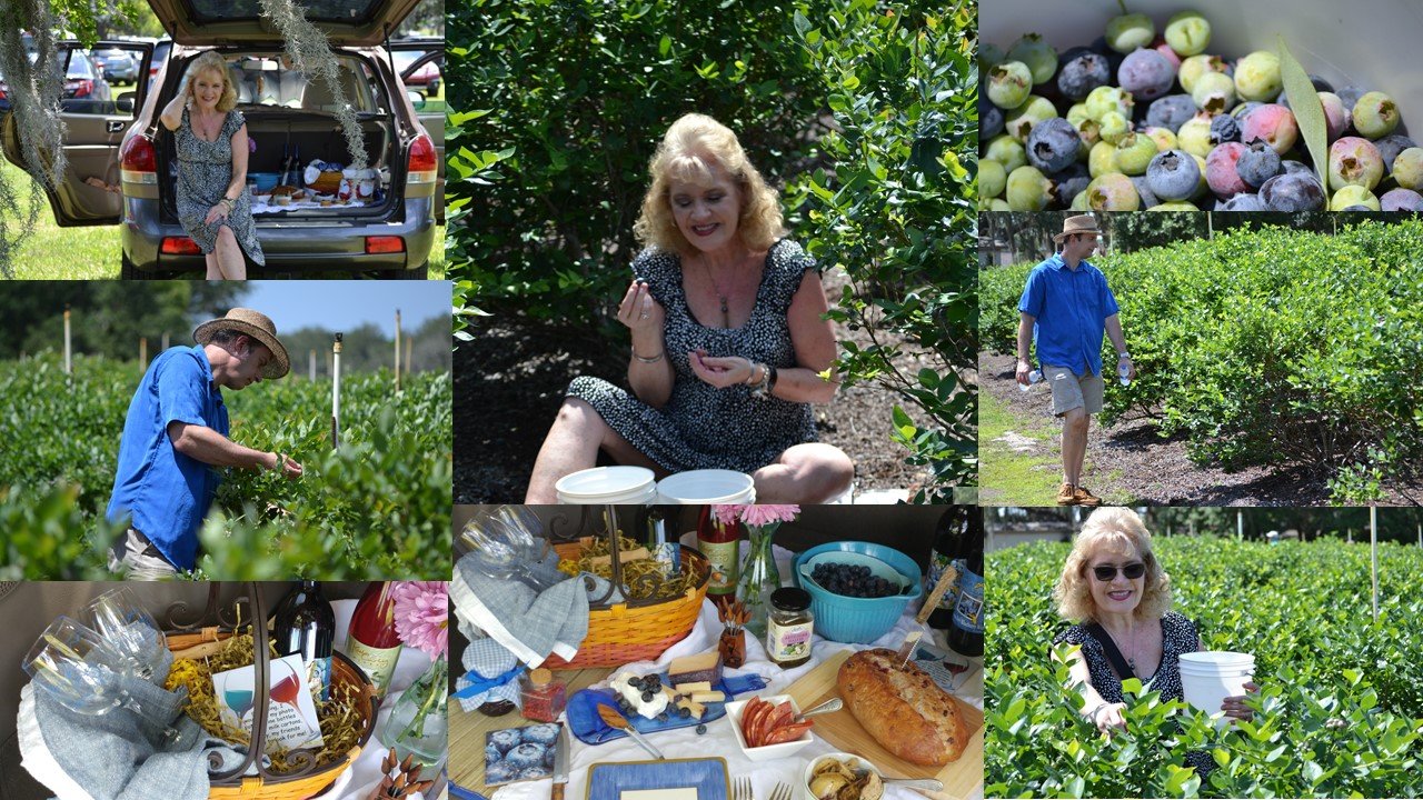 Blueberries, and the Blueberry Festival