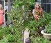 Julie’s New Herb Garden Julie’s New Herb Garden