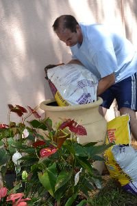 Adding_lots_of_potting_soil._small