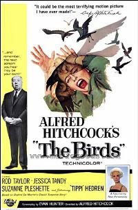 Birds_The_small