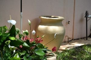 Placing_the_pot._small