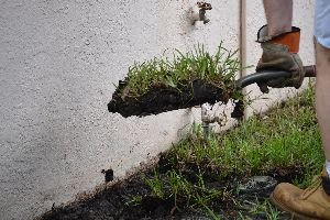 Removing_the_grass._small