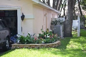 Side_left_of_house._small