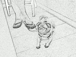 Sugar_at_the_vet_small