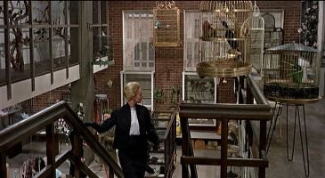 The_Birds_Mod_Design_002a_Hairpin_legged_birdcage_small
