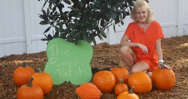 Pumpkin Carving Party