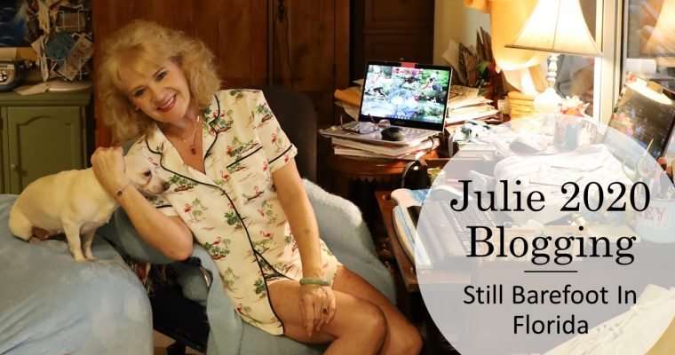 Julie 2020 Blogging