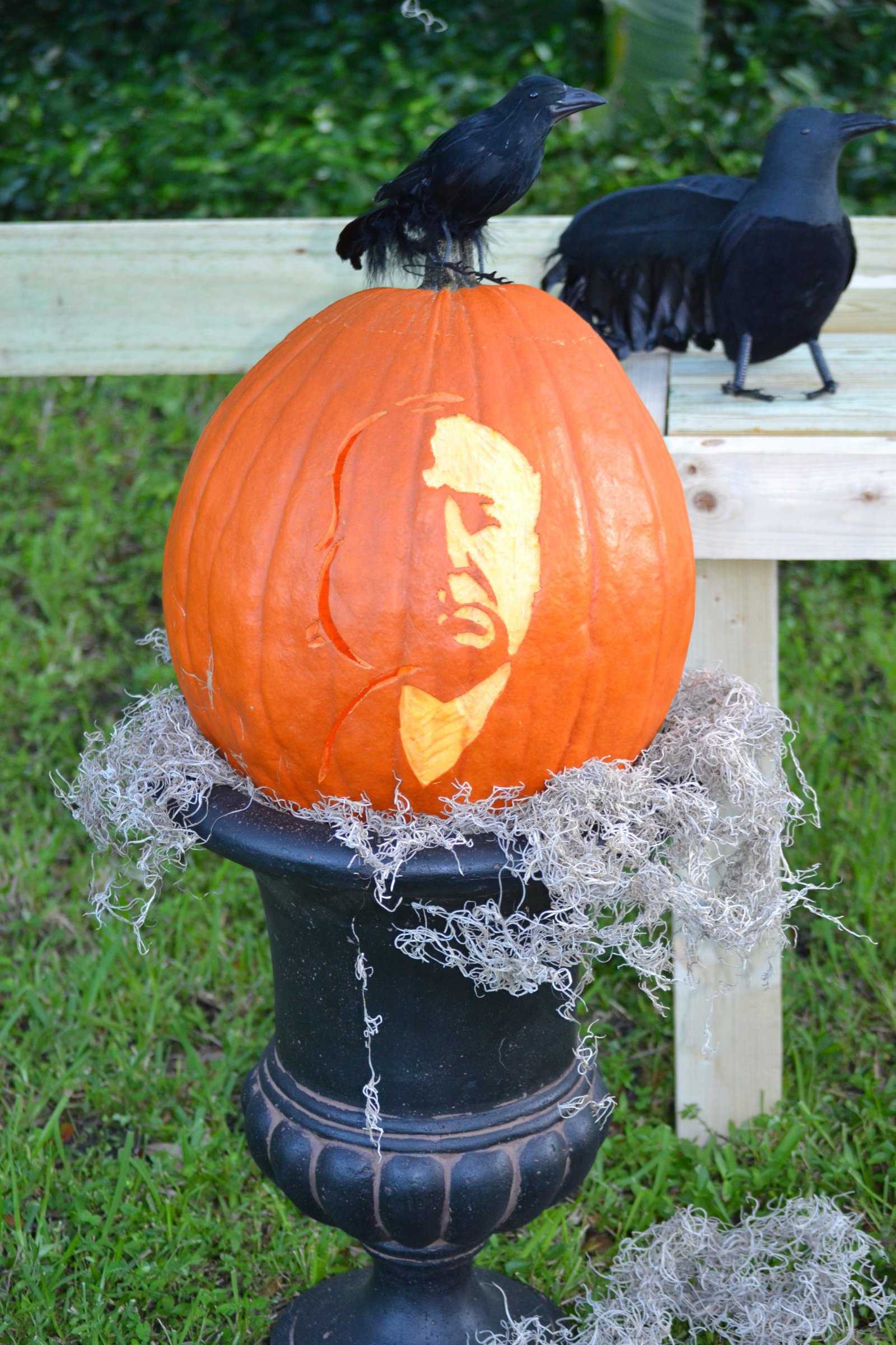 Pumpkin Carvings
