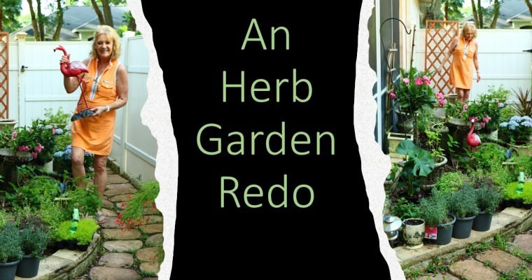 An Herb Garden Redo