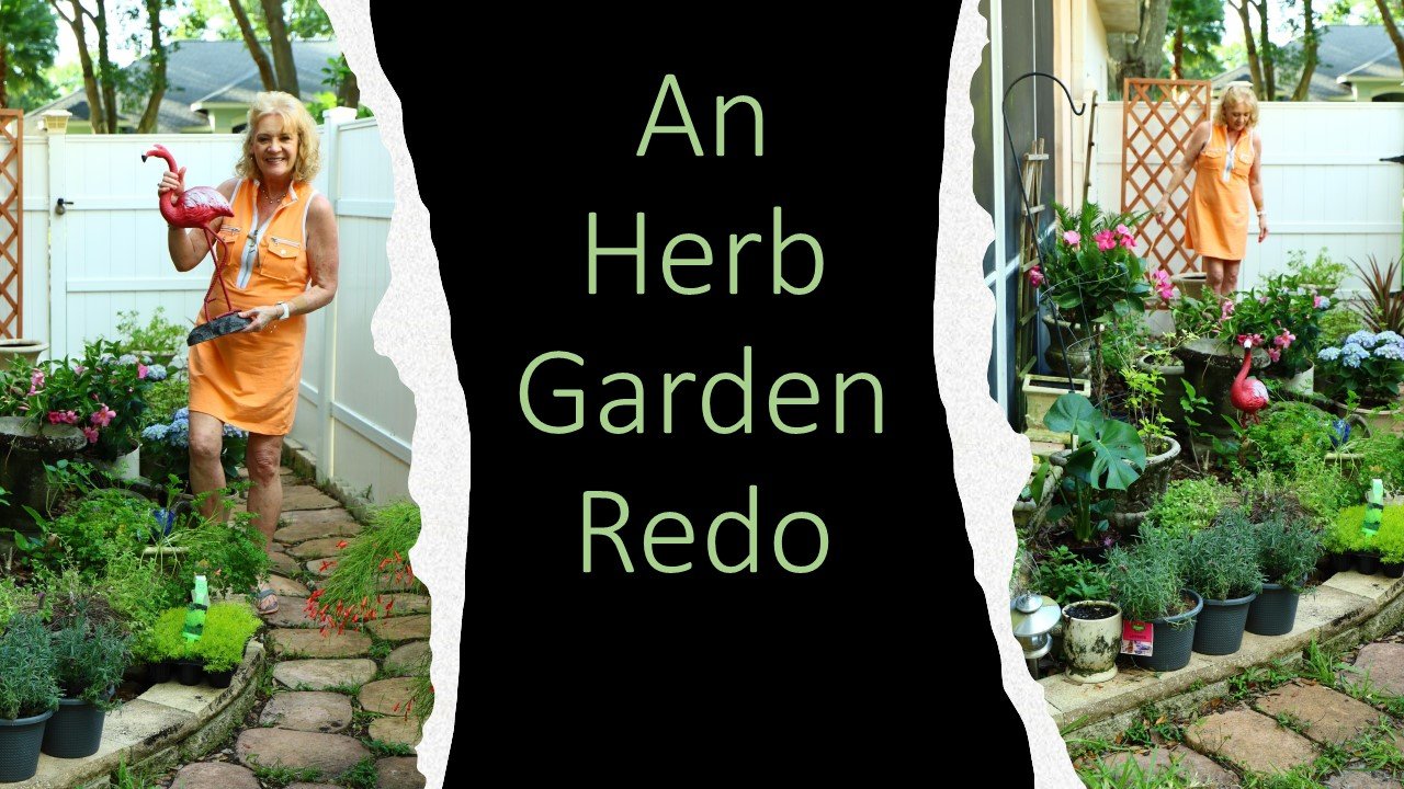 An Herb Garden Redo