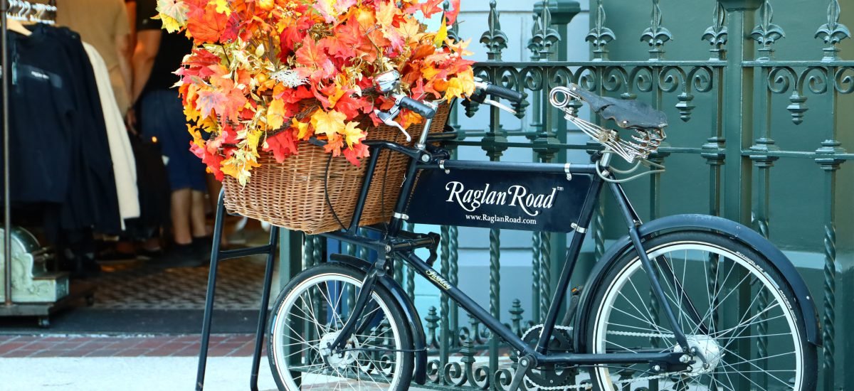 Raglan Road, October, Disney Springs, Florida