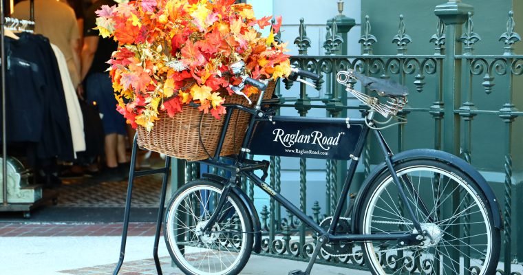 Raglan Road, October, Disney Springs, Florida